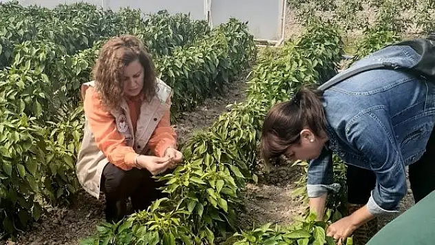 Seracıları bilgilendirme çalışmaları devam ediyor