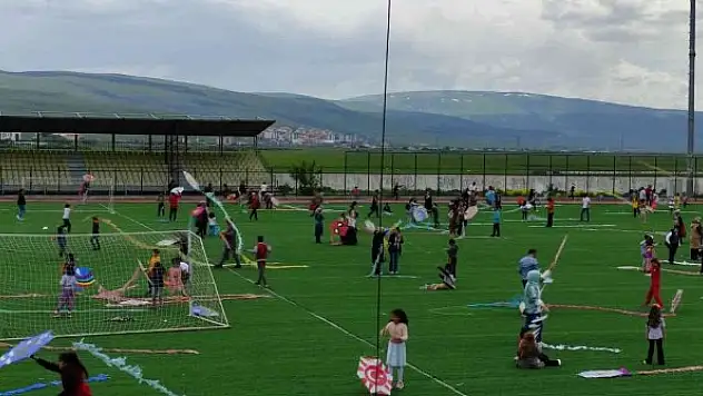 Çevre Haftası'nda uçurtmalar gökyüzünü süsledi