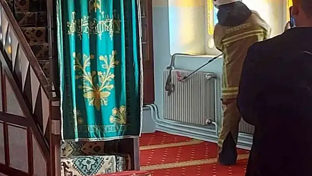 Camide yılan paniği