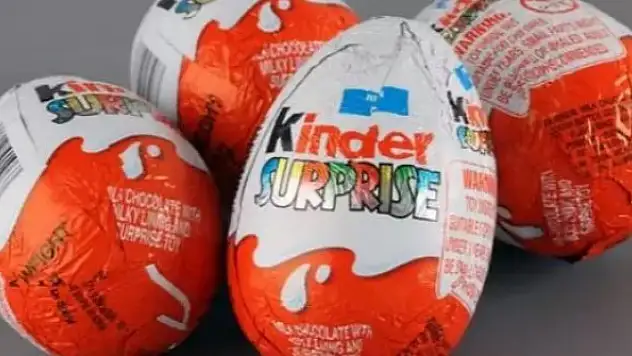 Salmonella bakterisi ilgili kritik gelişme: O fabrikalara baskın!