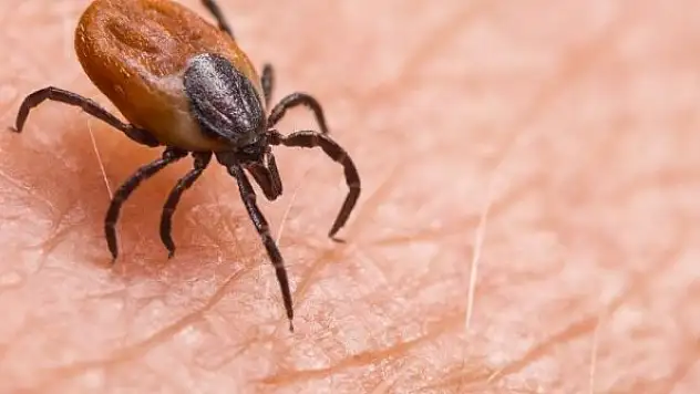 Uzmanı uyardı! Vaka sayılarında artış bekleniyor