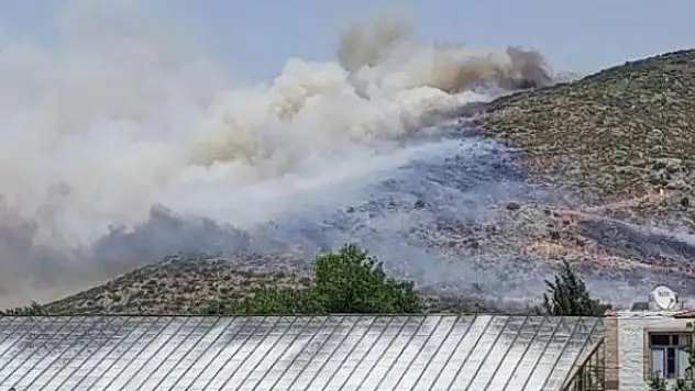 Antalya'da makilik alanda yangın