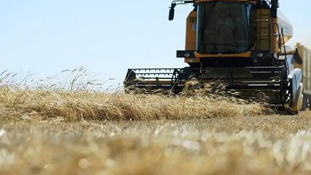 Tarım grubundan rekor ocak-mayıs ihracatı