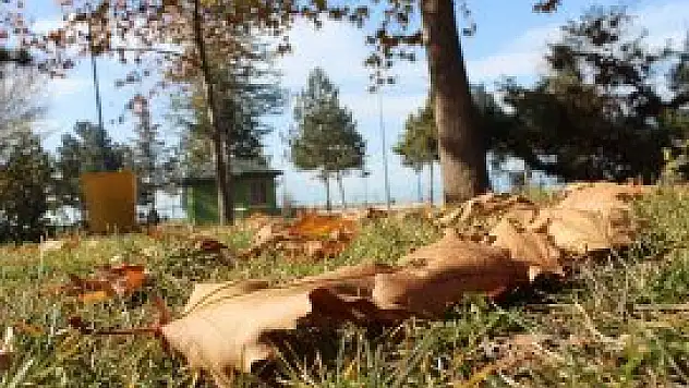 Beyşehir Gölü Milli Parkı'nda ''yaprak dökümü''