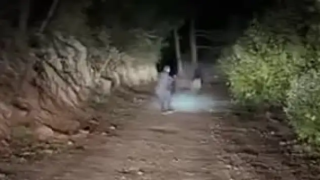 Domuzun saldırısından kıl payı kurtuldu