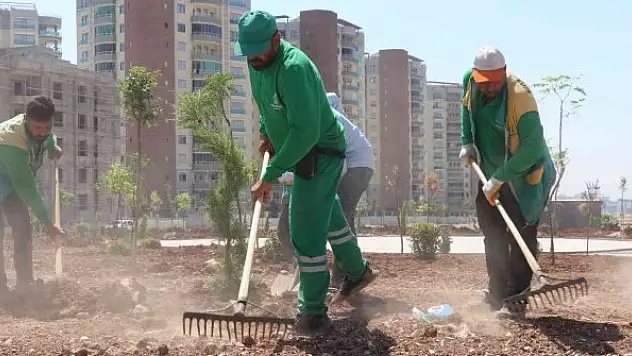 Yeni yeşil alanların yapımı sürüyor