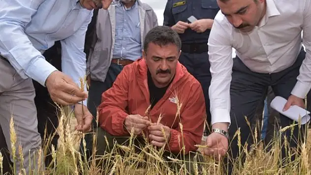 Validen doğal afetlere karşı çiftçilere uyarı: 'TARSİM sigortasını yaptırın'