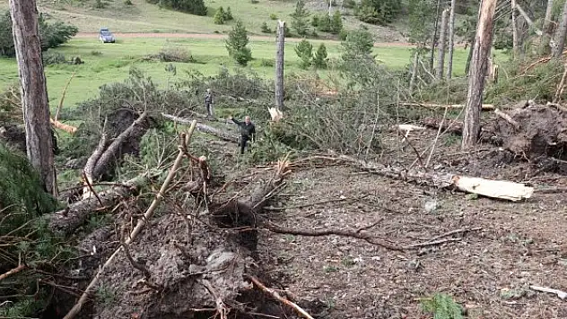 Hortum ve fırtınanın 530 çam ağacına zarar verdiği tespit edildi