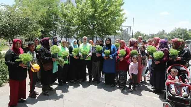 Evinin önünü temiz tutanlar ödüllendiriliyor