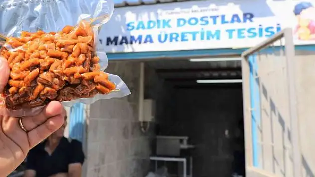 Atık gıdalar mamaya dönüşecek