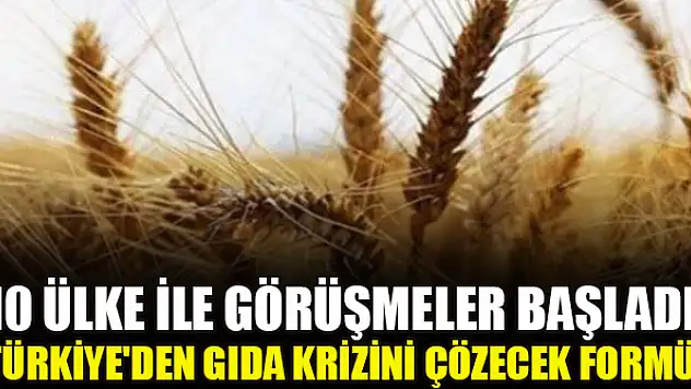 10 ülke ile görüşmeler başladı! Türkiye'den gıda krizini çözecek formül