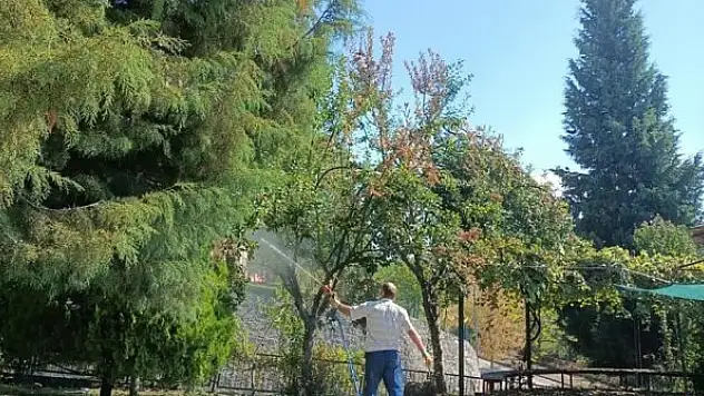 Bitkisel üretimi tehdit ediyor