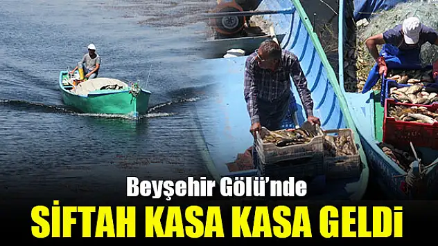 Beyşehir Gölü'nde siftah kasa kasa geldi