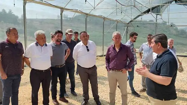 Üreticiye 'Bağa bak üzüm olsun, yemeye yüzün olsun' eğitimi