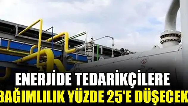 Enerjide tedarikçilere bağımlılık yüzde 25'e düşecek