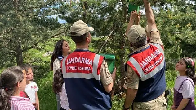 Ormanlara kuş yuvası asıldı