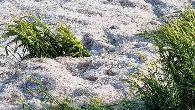 Dolu yağışı sonrası her yer beyaza büründü