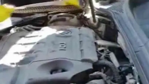Yılan otomobilin motoruna girdi