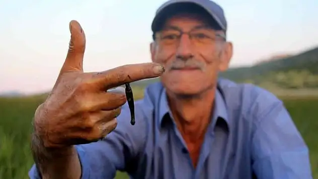 Sülük hırsızları ile başları dertte