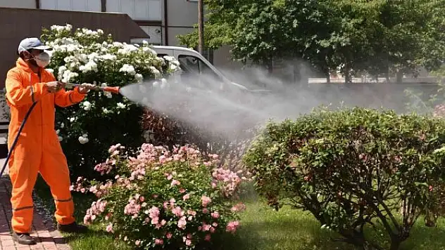 Selçuklu'da haşerelere karşı önlem alınıyor