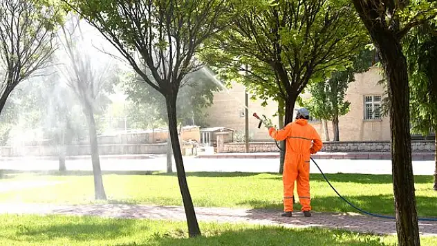 Selçuklu'da ilaçlamalar sürüyor