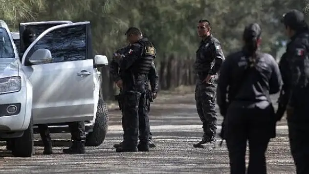 Meksika'da kartel çatışması: 11 kişi ve bir maymun öldürüldü