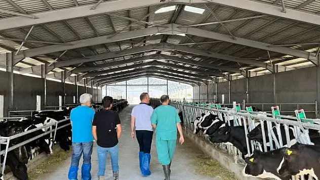 Karatay'da hayvancılık denetimi