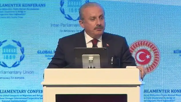 TBMM Başkanı Şentop, Gürcistan Dışişleri Bakanı Darchiashvili'yi kabul etti