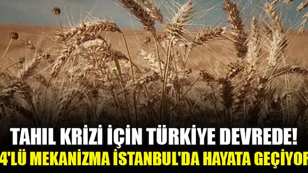 Tahıl krizi için Türkiye devrede! 4'lü mekanizma İstanbul'da hayata geçiyor
