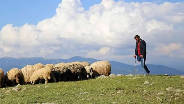 26 yıldır tek bacağıyla hayvanlarını otlatıyor