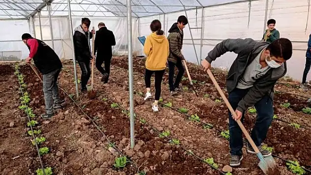 Meslek lisesinde uygulamalı tarım eğitimi