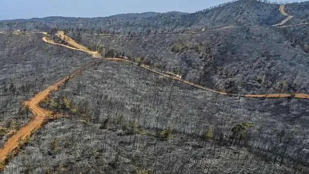 Yanan alanlar havadan görüntülendi