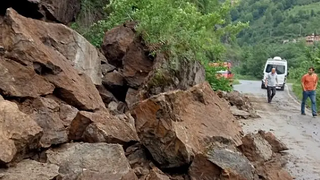 Yola düşen kaya az kalsın faciaya neden oluyordu