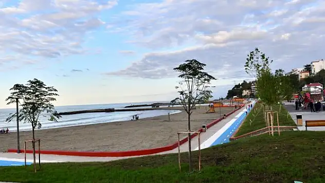 ABD düşen savaş uçağını bulmak için halktan yardım istedi