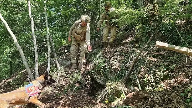 Amanoslar kırsalında PKK'lı teröristlerin kullandığı iki sığınak ve bir depo bulundu
