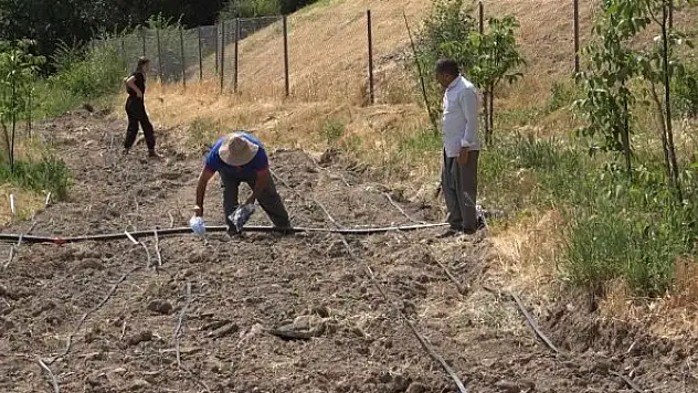 Kavurucu sıcaklıkta üretim mesaisi