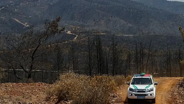 Yangından etkilenen yaban hayvanları için devriye görevi