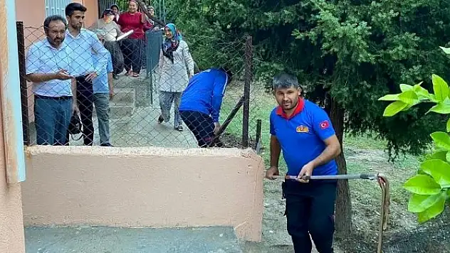 Osmaniye'de eve giren yılanı itfaiye yakaladı