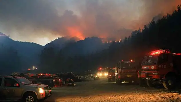Marmaris'te '4 bin 208 hektar alan zarar gördü'