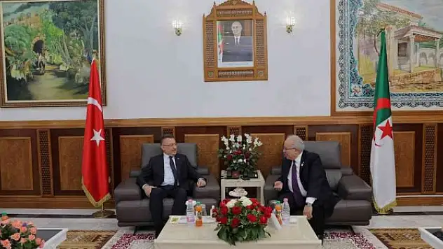 Cumhurbaşkanı Yardımcısı Oktay, Cezayir'de
