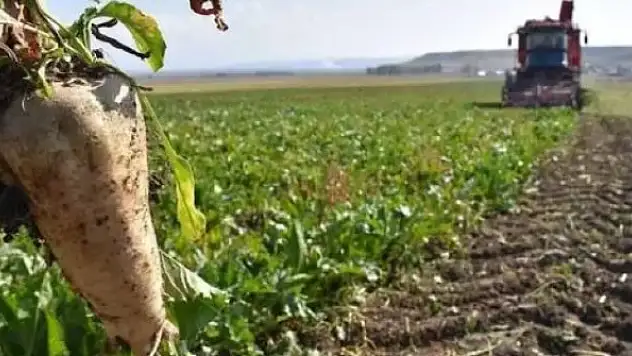 Çiftçiye büyük destek: Kefalet, faiz ve limit yok