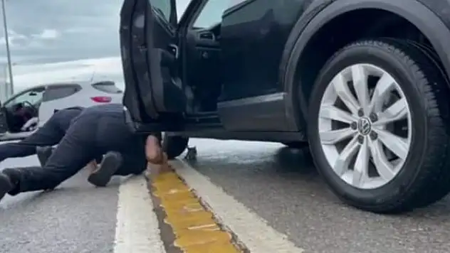 Küçük kediyi kurtarmak için büyük seferberlik