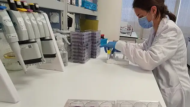 Prof. Dr. Ergönül: Pandemide adeta antibiyotikle yıkandık direnç çok ciddi boyutlarda arttı