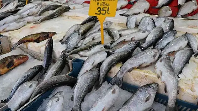 Balıkçılar yeni sezonu iple çekiyor