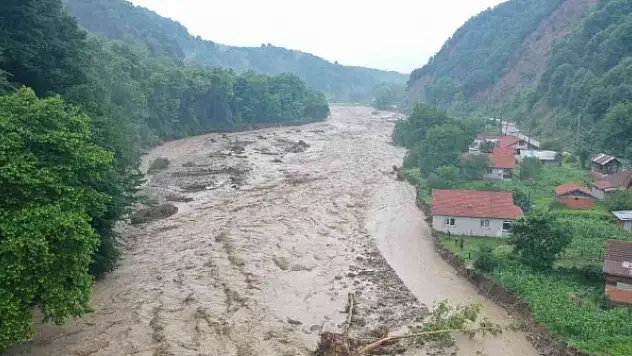 Mahsur kalan hayvanlar botlarla kurtarıldı