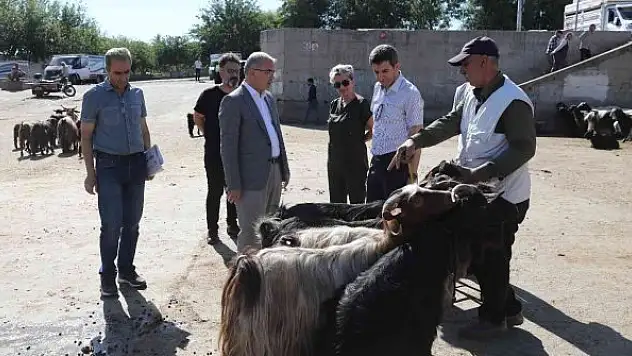 Kurbanlık satış ve kesim yerleri belirlendi