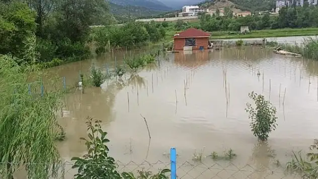 Su altında kalan tarım arazileri zarar gördü