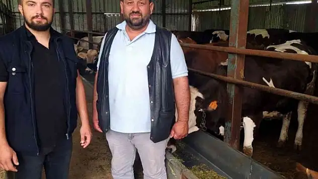 Hayvan dolandırıcılığına dikkat