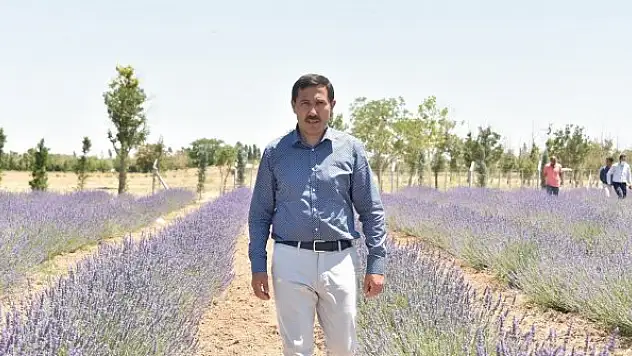 Karatay Lavanta Bahçesi 2 Temmuz'da kapılarını açıyor