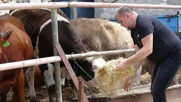 Kurbanlık alacaklara uyarı